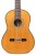 gitara klasyczna joluck e02 amoroso3.jpg