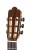 gitara klasyczna joluck e02 amoroso6.jpg